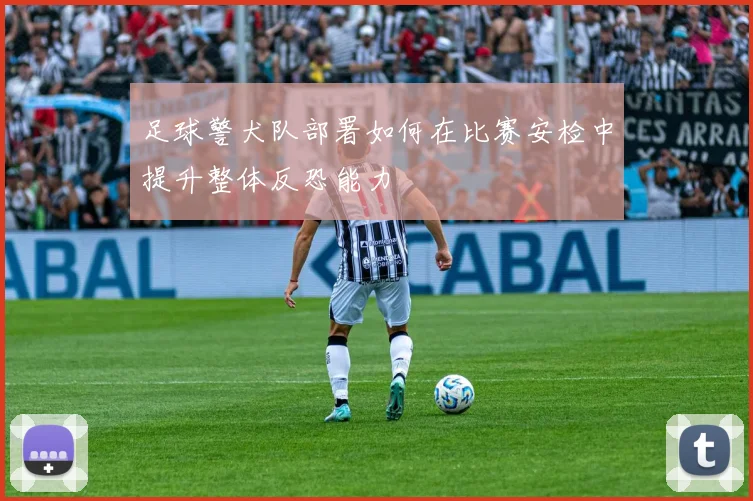 足球警犬队部署如何在比赛安检中提升整体反恐能力