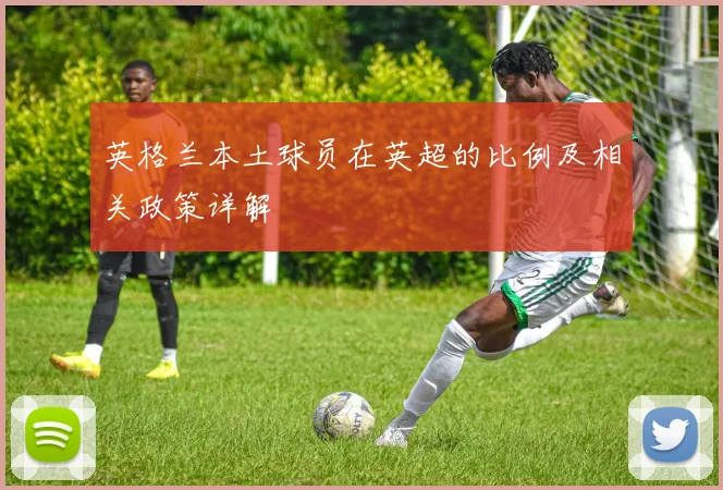 英格兰本土球员在英超的比例及相关政策详解
