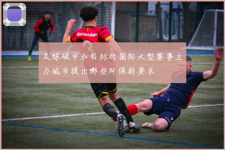 足球碳中和目标对国际大型赛事主办城市提出哪些环保新要求